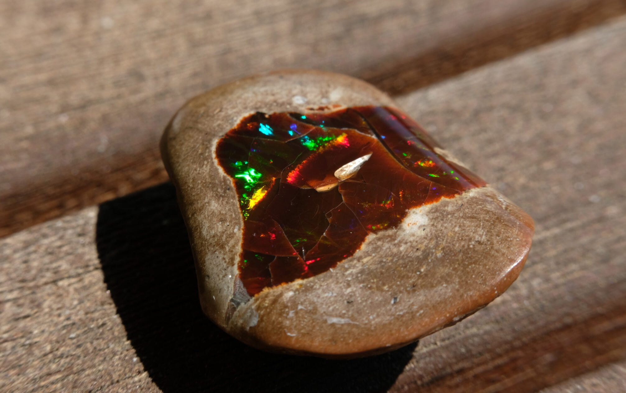 Vom Mut anders zu sein, ohne sich dafür zu rechtfertigen!