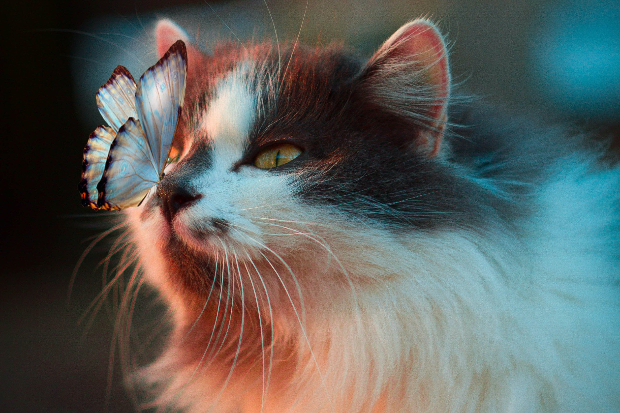 Der Zukunft erste Teil | Meine Vision