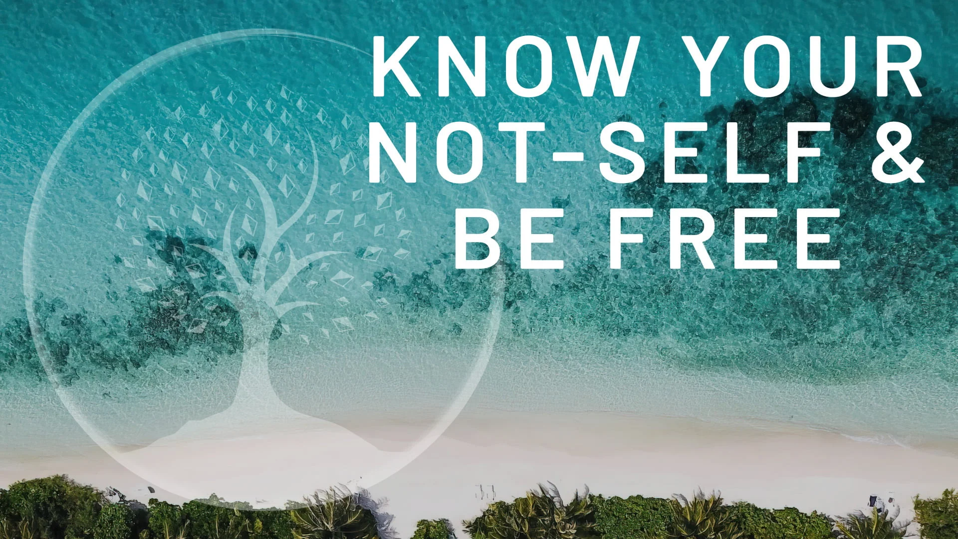 Know thy Not-Self and be bitter no more! | Human Design